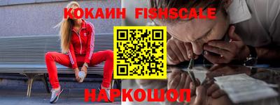 гидра Гатчина