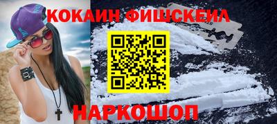 гидра Гатчина