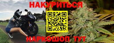 гидра Гатчина