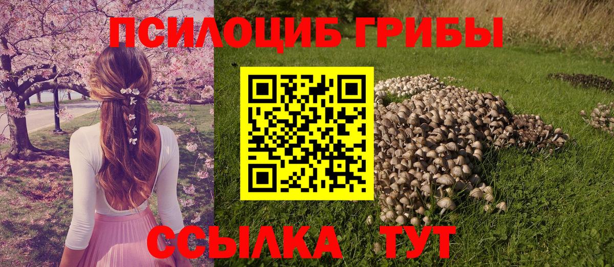 как найти наркотики  Галлюциногенные грибы GOLDEN TEACHER  Вход с VPN  Феодосия 